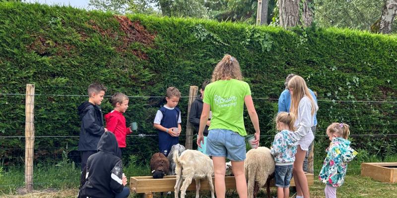 La Petite Ferme Pédagogique